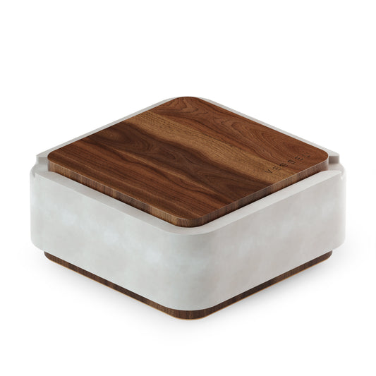 Vessel Ash Astray and Storage